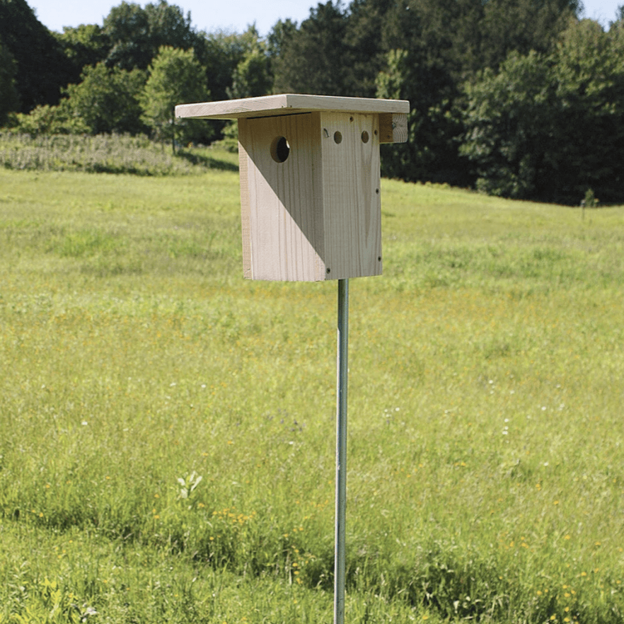 blue bird house construction